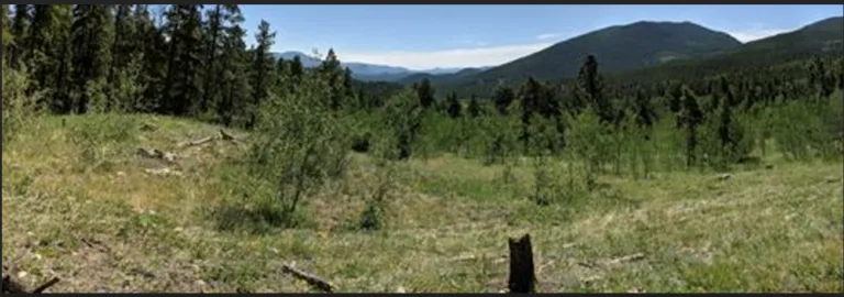 Mining Ghosts in Slaughterhouse Gulch